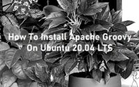 How to install Apache Groovy on Ubuntu 20.04