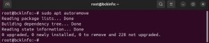 How To Clear the APT Cache and Free Up Disk Space on Ubuntu 24.04 ...