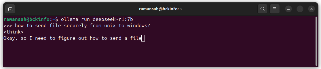 How To Install DeepSeek R1 Locally On Ubuntu 24.04 - bckinfo.com