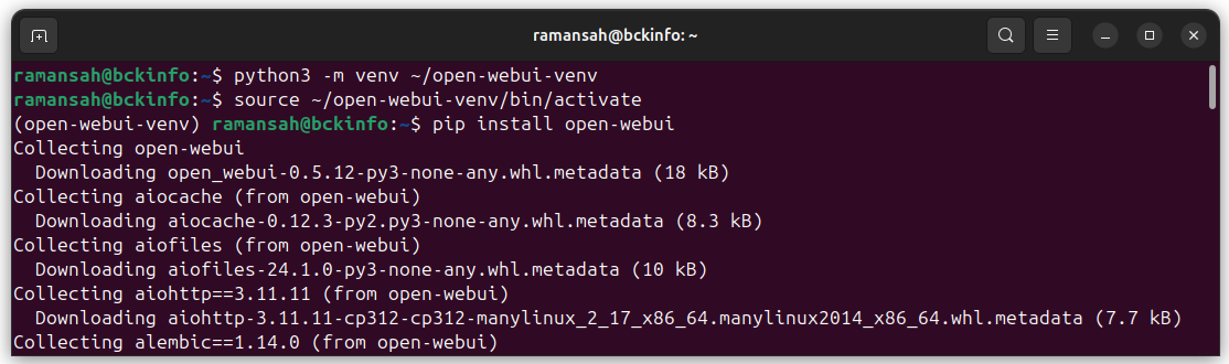How To Install DeepSeek R1 Locally On Ubuntu 24.04 - bckinfo.com