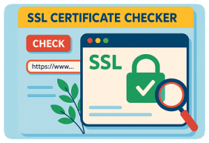 SSL Certificate Checker - SEO Tools - bckinfo.com