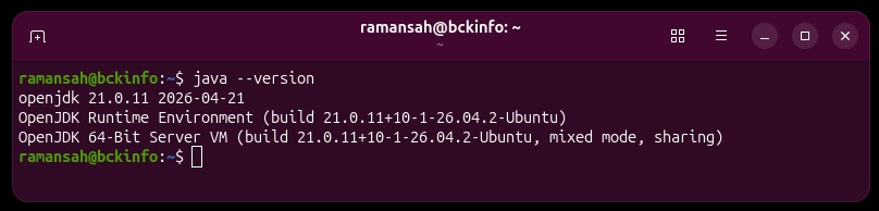 java version (openjdk 21.01.11)